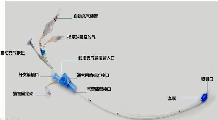 图片 1.png 图片 1.png
