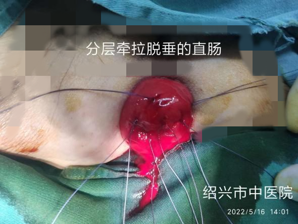 图片 4.png