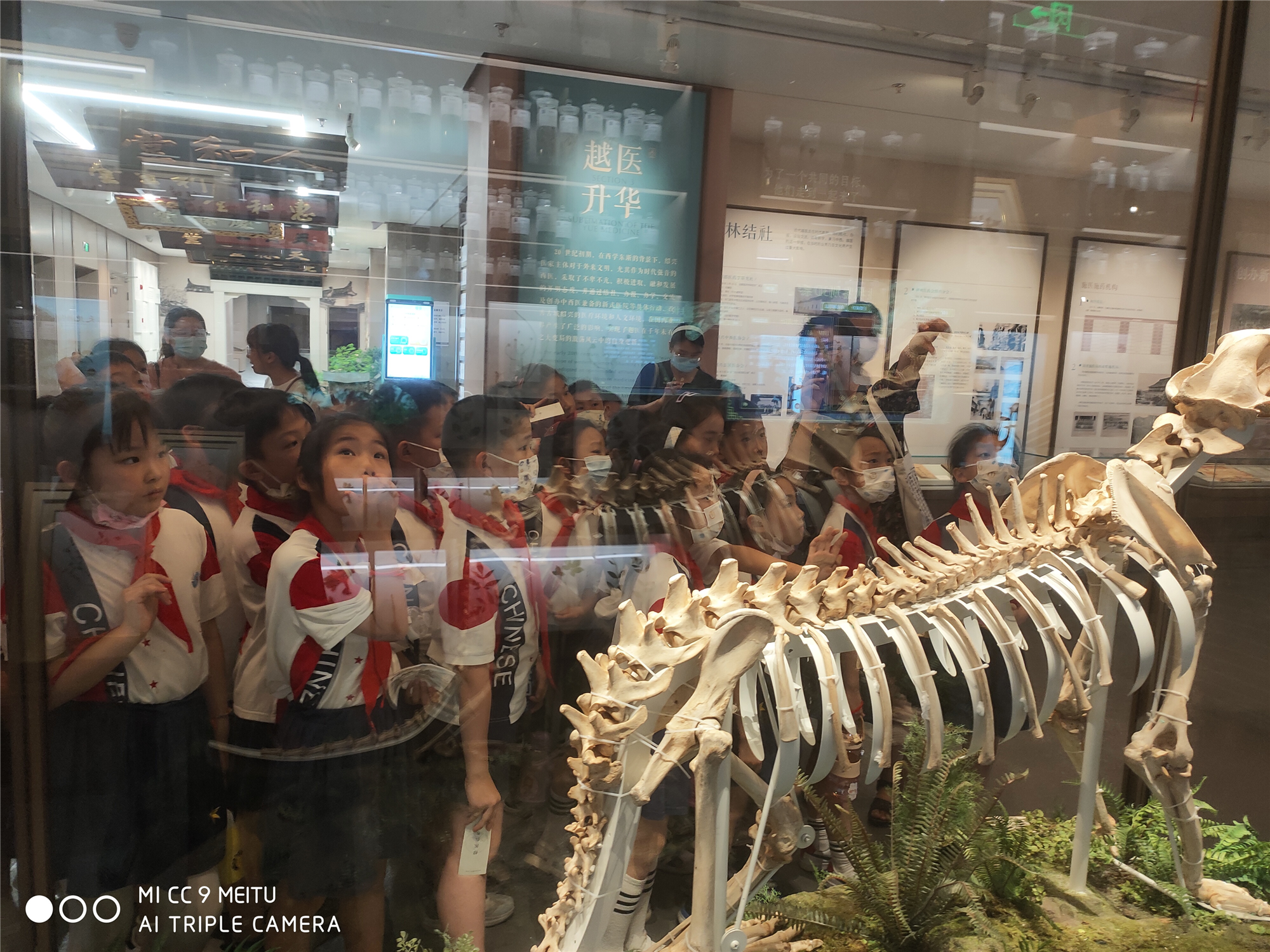 图片10.png 图片10.png