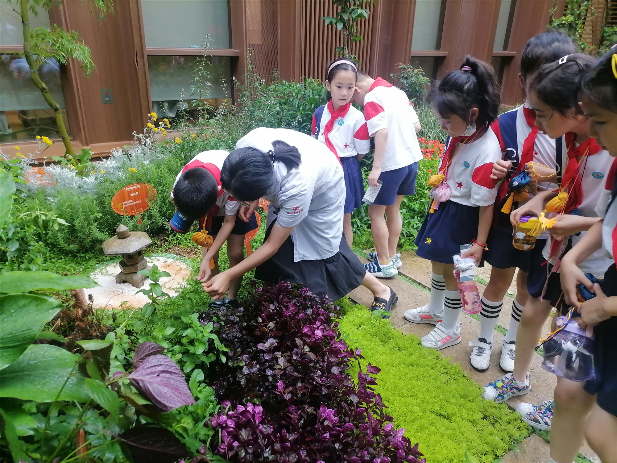 图片13.png 图片13.png